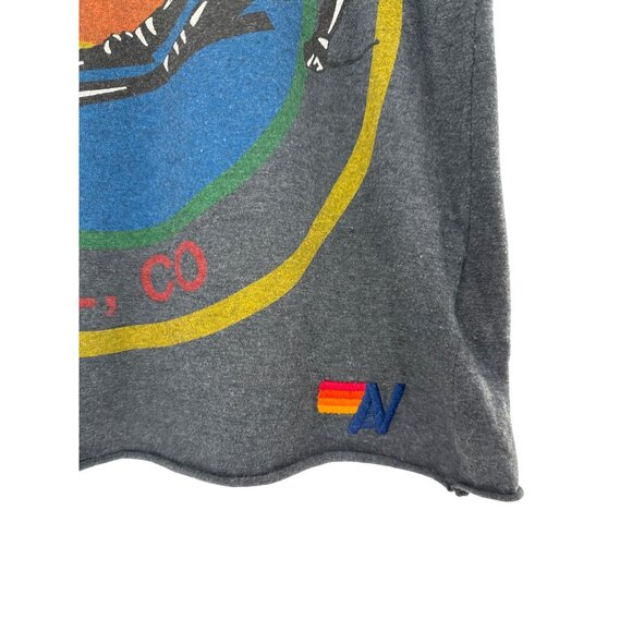 Aviator Nation Boyfriend Vail Colorado Graphic T-Shirt XS Grey - Picture 2 of 8
